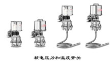 ASCO 核工業(yè)、核電廠壓力和溫度開關(guān)